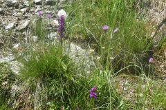 2025-06-24-SAC-RS-Sen-Batoeni-117
