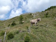 2025-08-19-SAC-RS-Bettler-Seen-043