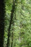 2025-07-22-SAC-RS-Brudertoebeli-16
