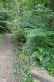 2025-07-22-SAC-RS-Brudertoebeli-18