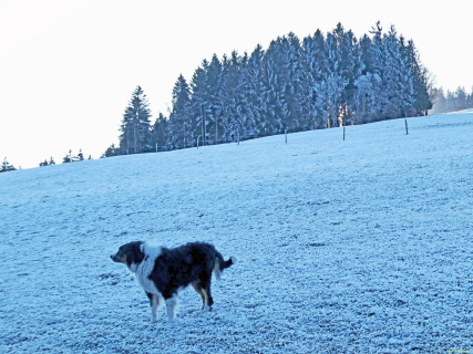 2025-12-31-SAC-RS-Chastenloch-20_bearbeitet-1