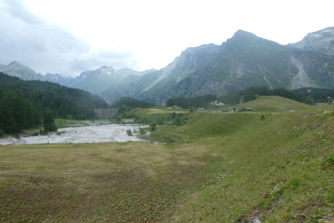 2025-06-23-SAC-RS-Forno-BW-T3-211