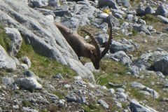 2025-06-20-SAC-RS-Forno-Arbeit-088