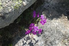2025-06-22-SAC-RS-Forno-Arbeit-074