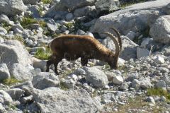 2025-06-22-SAC-RS-Forno-Arbeit-108