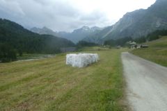 2025-06-23-SAC-RS-Forno-BW-T3-212