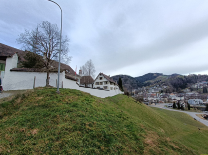 IMG20250311094747