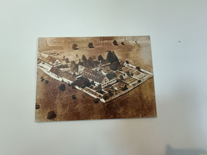 IMG20250311095406