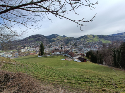 IMG20250311100824
