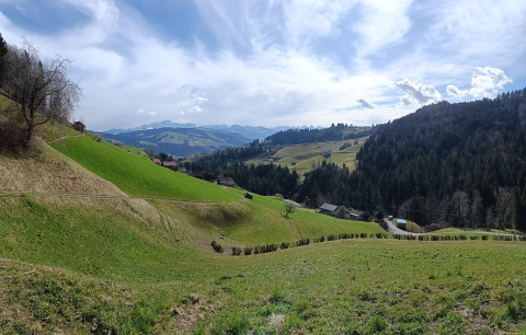IMG20250311110218