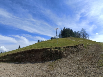IMG20250311112656
