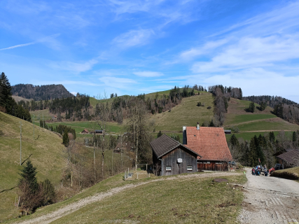 IMG20250311113533
