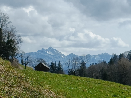 IMG20250311114926