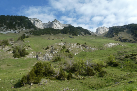 2025-05-20-SAC-RS-Gulmen-Sued-023