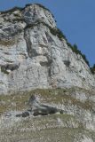 2025-05-20-SAC-RS-Gulmen-Sued-052