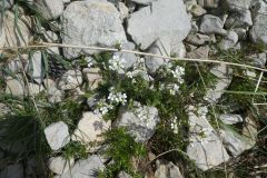 2025-05-20-SAC-RS-Gulmen-Sued-059