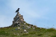 2025-05-20-SAC-RS-Gulmen-Sued-091_bearbeitet-1