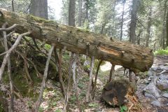2025-05-20-SAC-RS-Gulmen-Sued-119
