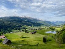 IMG_8061_