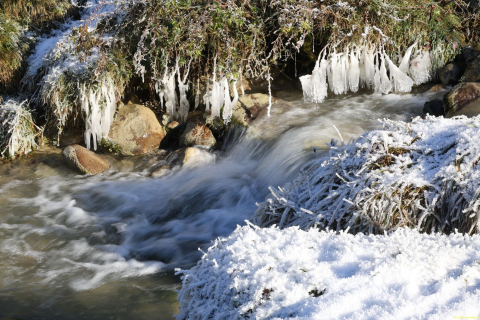 2024-12-01-Zuerchersmuehle-Hundwiler-Hoehe-Gontenbad-R6II8292