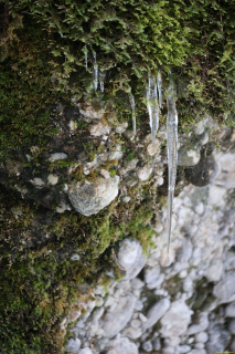 2024-12-01-Zuerchersmuehle-Hundwiler-Hoehe-Gontenbad-R6II8316