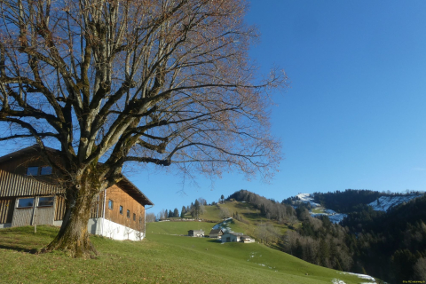 2025-01-07-SAC-RS-Hundwiler-Hoe-11