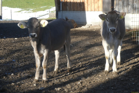 2025-01-07-SAC-RS-Hundwiler-Hoe-13