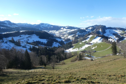 2025-01-07-SAC-RS-Hundwiler-Hoe-17