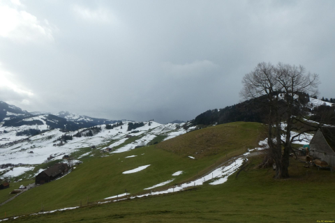 2025-01-07-SAC-RS-Hundwiler-Hoe-63