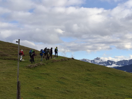 IMG-20250107-WA0008