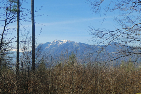 2025-04-08-SAC-RS-KummenSchlos-19_bearbeitet-1