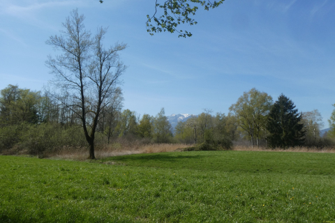 2025-04-08-SAC-RS-KummenSchlos-26