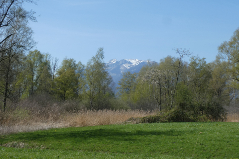 2025-04-08-SAC-RS-KummenSchlos-27