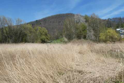 2025-04-08-SAC-RS-KummenSchlos-31