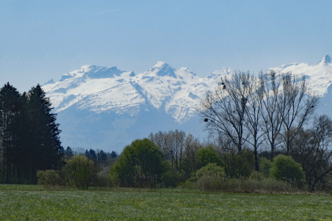 2025-04-08-SAC-RS-KummenSchlos-33_bearbeitet-1