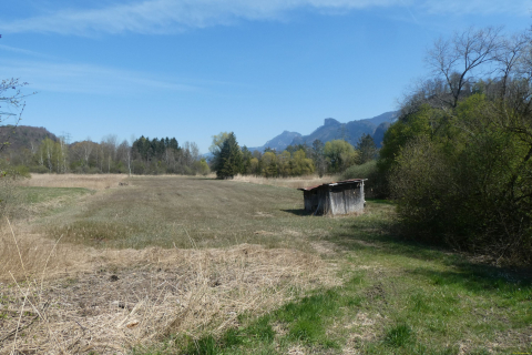 2025-04-08-SAC-RS-KummenSchlos-34