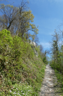 2025-04-08-SAC-RS-KummenSchlos-36