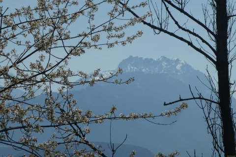 2025-04-08-SAC-RS-KummenSchlos-59