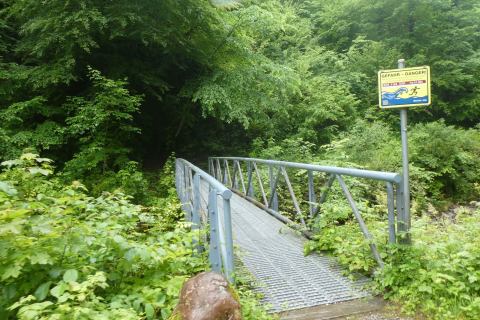 2025-05-27-SAC-RS-Mengschlucht-11