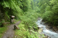 2025 SAC RS Mengschlucht