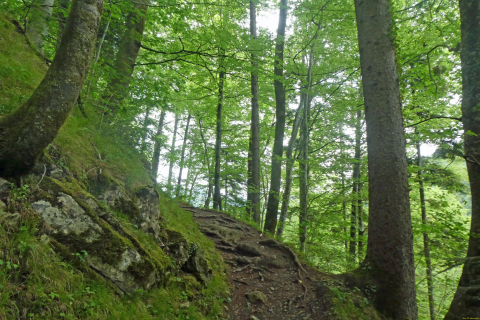2025-05-27-SAC-RS-Mengschlucht-33_bearbeitet-1