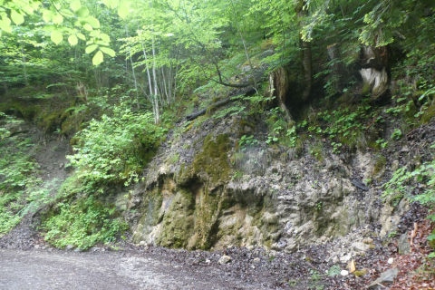 2025-05-27-SAC-RS-Mengschlucht-40