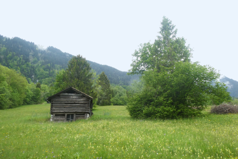 2025-05-27-SAC-RS-Mengschlucht-47_bearbeitet-1