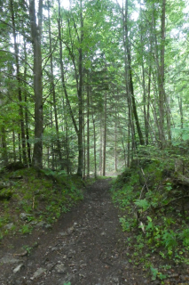 2025-05-27-SAC-RS-Mengschlucht-51
