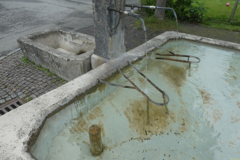 2025-05-27-SAC-RS-Mengschlucht-61