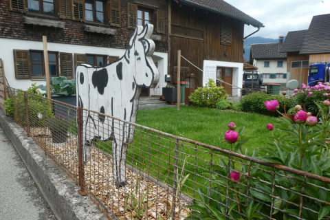 2025-05-27-SAC-RS-Mengschlucht-64