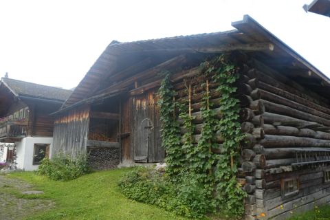 2025-07-15-SAC-RS-Monst-Filisu-012