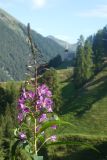 2025-07-15-SAC-RS-Monst-Filisu-030