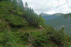 2025-07-15-SAC-RS-Monst-Filisu-073_bearbeitet-1