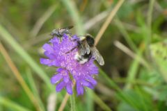 2025-07-15-SAC-RS-Monst-Filisu-076